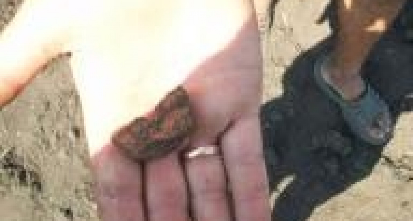 Археологическая разведка дала результат