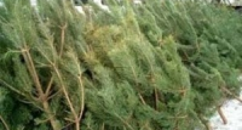 Скоро предновогоодняя ярмарка