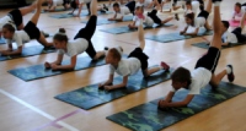В липецких школах начались «Новые уроки физкультуры»