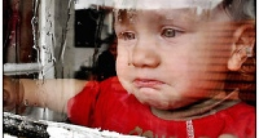 В Липецке усыновили два детских дома