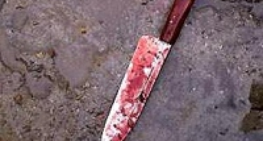 В Липецкой области будут судить женщину, которая убила двоих 