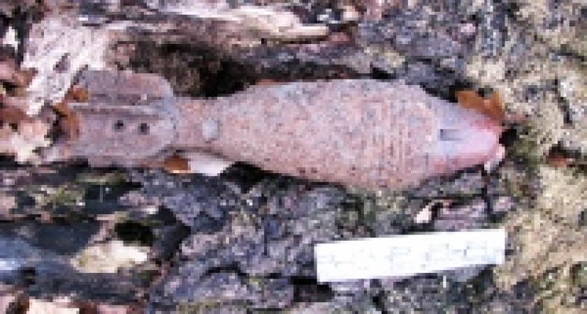 В Липецкой области уничтожили минометные мины времен войны 