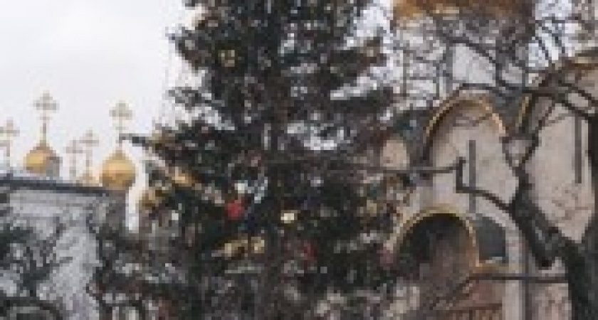 Во время зимних каникул на новогодних представлениях и в лагерях отдыха побывало почти 100 тыс. детей