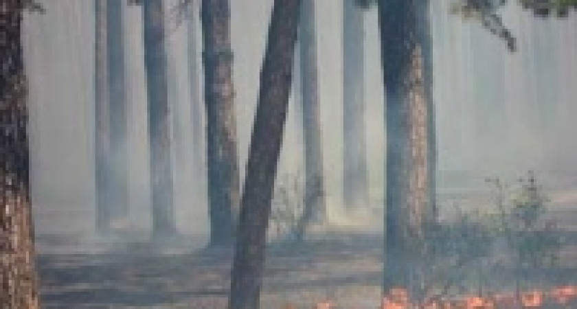 В Липецке готовятся к пожароопасному сезону