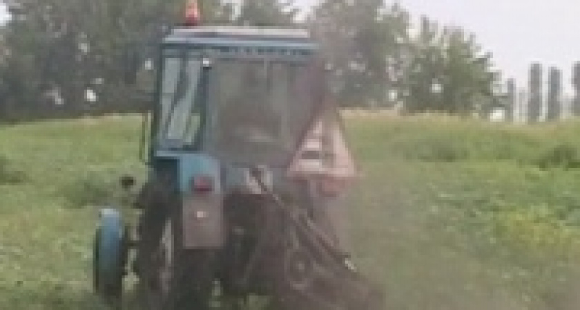 В Липецкой области скосили гектар конопли