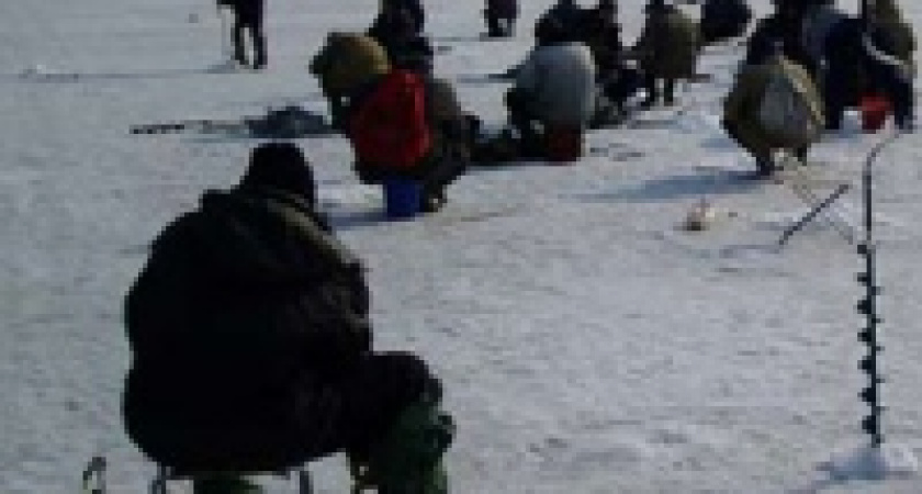В Липецкой области пытаются спасти рыбу