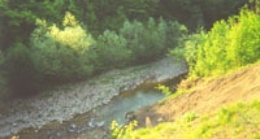 Река Кузьминка станет чище.