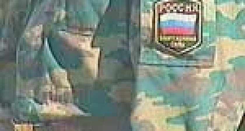 Комитет солдатских матерей вернул в Липецк двоих новобранцев.