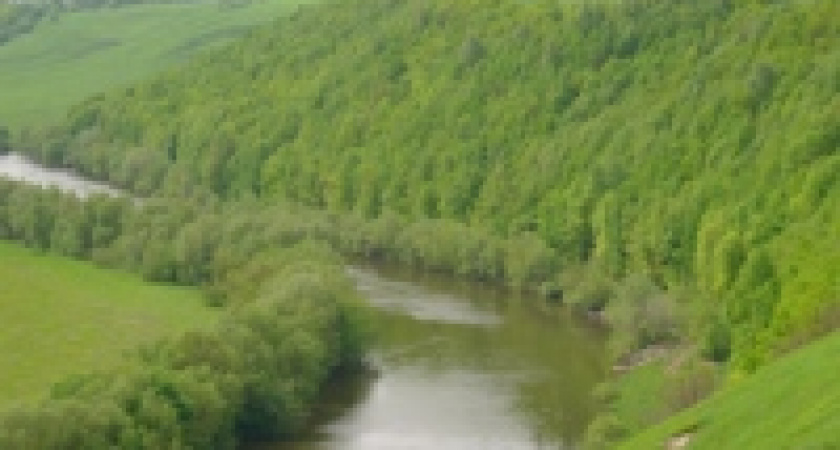 Неподалеку от Липецка продается резиденция президента России