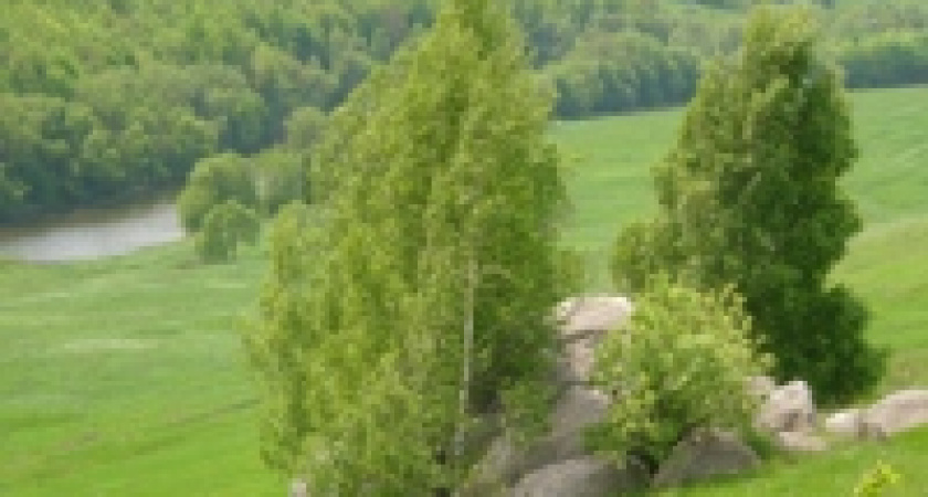 Реки Дон и Красивая меча загажены...