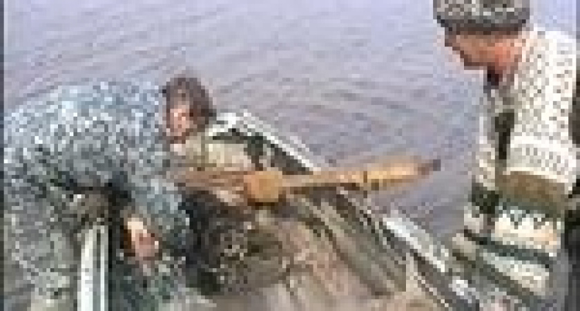 На Матырском водохранилище бесчинствуют браконьеры