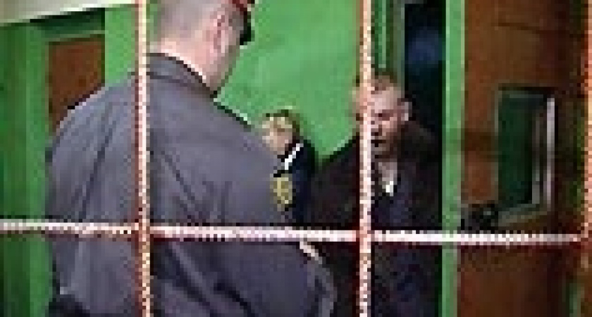 Кулаком в лицо милиции