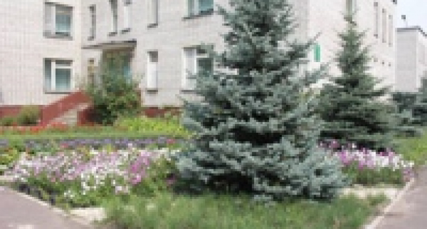 50 липчан наградят за благоустройство