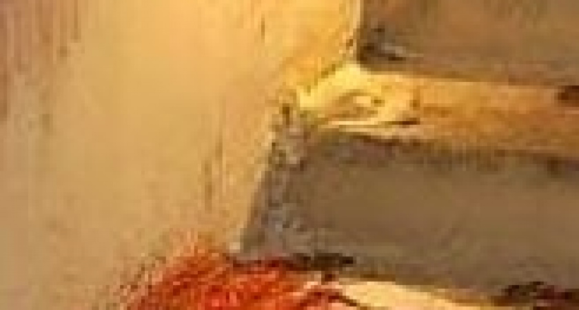 Гибель миротворца