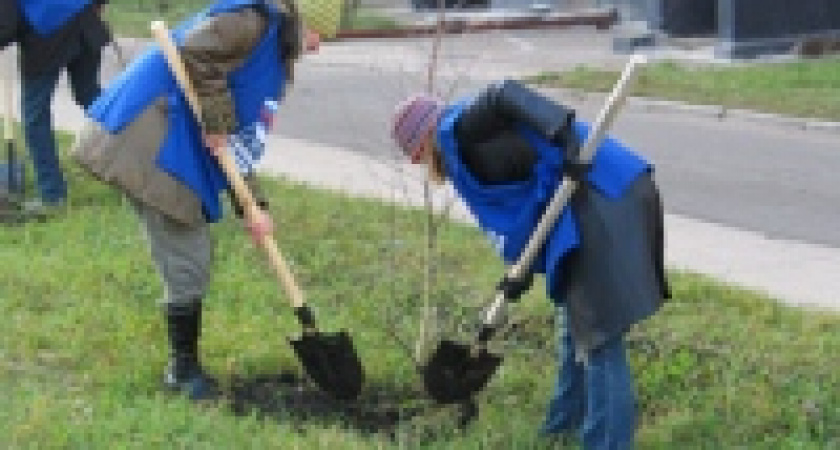 На Липовской появятся липы