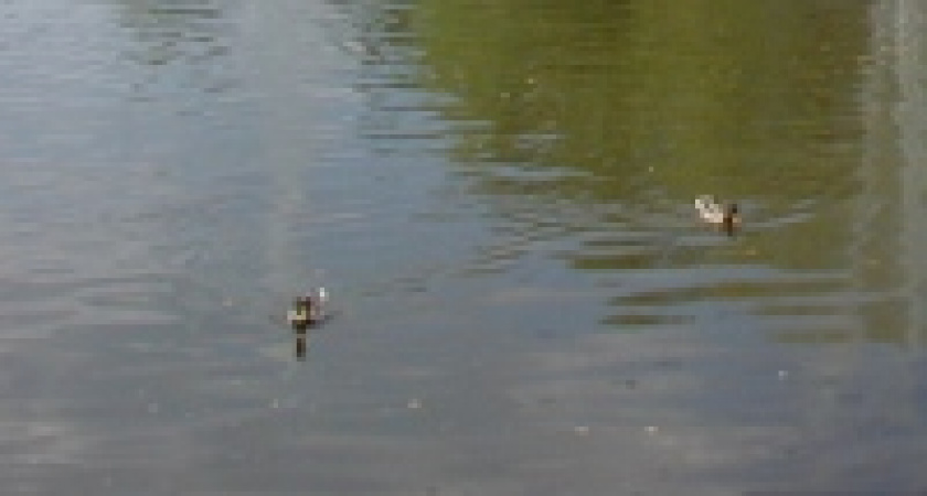 Пьяный парень на пруду