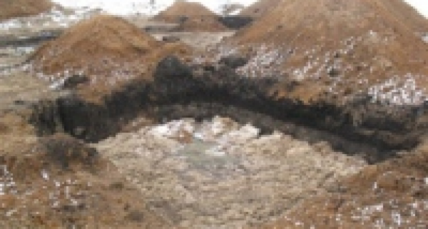 Птицефабрика отравляет воду в Липецке 