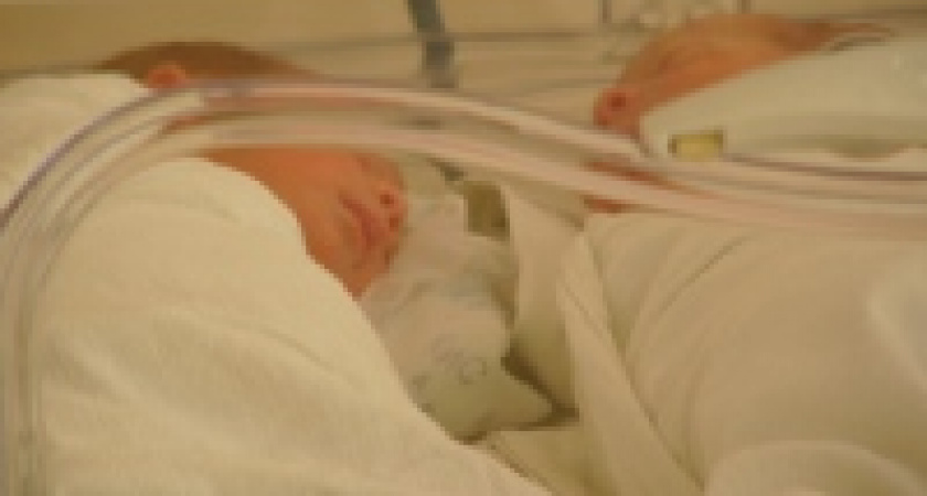 В Липецке родилась первая в этом году тройня 