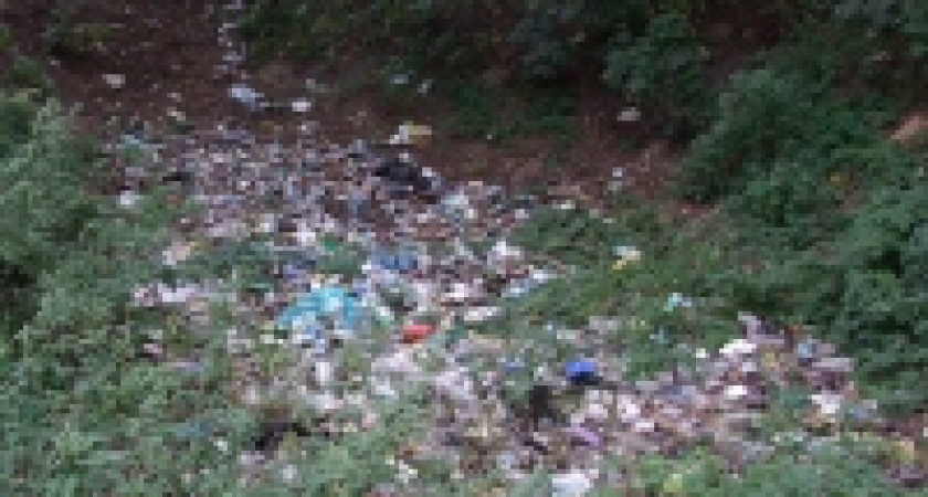 Экологи взялись за Быханов сад