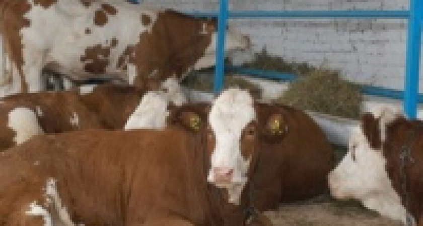 Фермерам помогают 