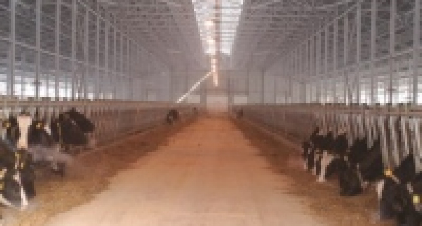 Изготовителей &laquo;мраморного&raquo; мяса накажут рублем 