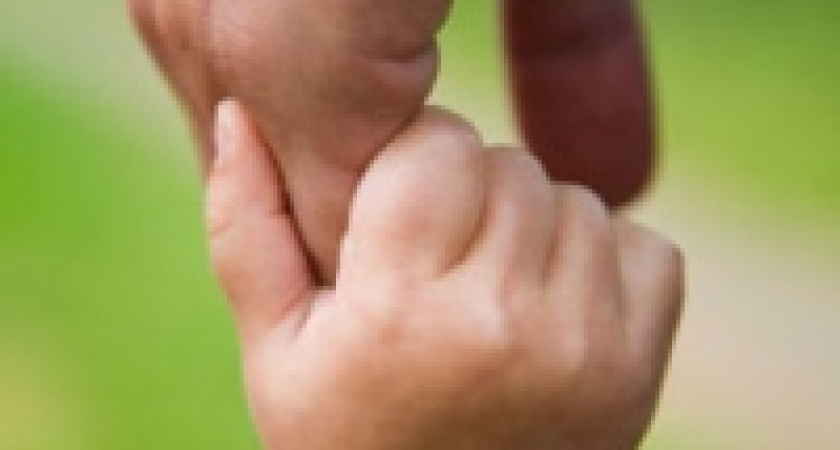 В Липецке отметят День отца 