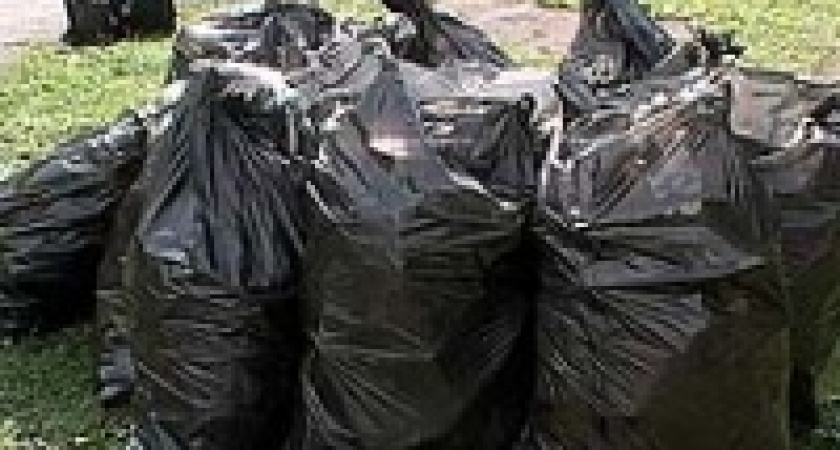 22 марта начинается марафон по защите Липецка от экологической опасности 