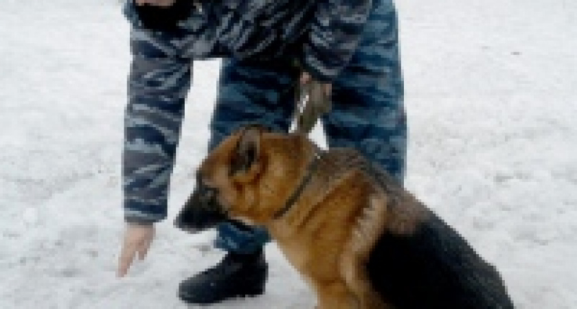 Похитителей коньяка нашли с помощью собаки