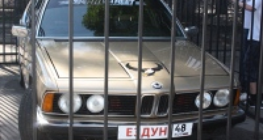 В Липецке автомобиль поместили в клетку зоопарка