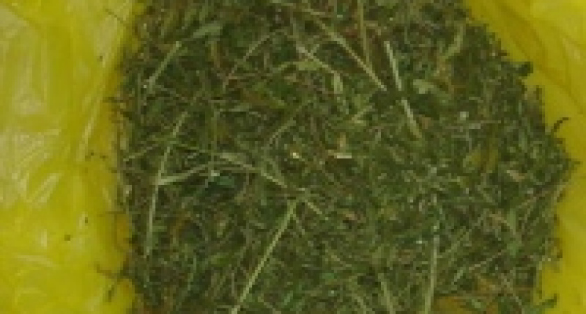 У 20-летнего парня изъяли более одного килограмма марихуаны