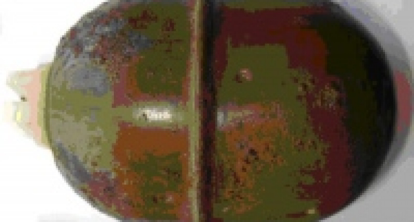 Торговца ручными гранатами ждет суровое наказание