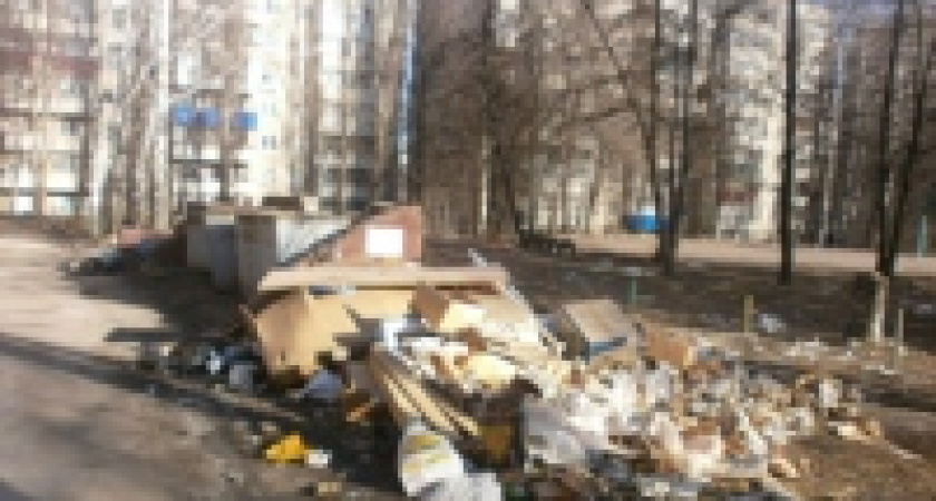 Большинство мусорных площадок в Липецке захламлены