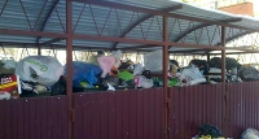 Стотысячный штраф должны заплатить управляющие компании за плохое содержание контейнерных площадок