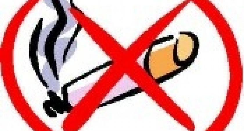 Липчан призывают поучаствовать в смягчении «антитабачного закона»