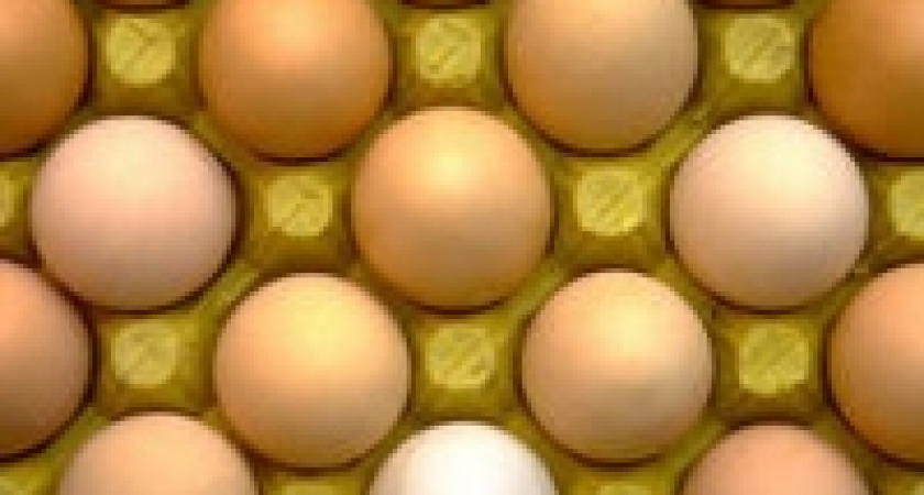 Куриные яйца в Липецке станут дешевле