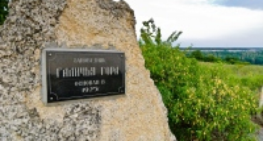 Первый этап строительства автотуристического кластера «Задонщина» обойдется в 24 миллиона рублей