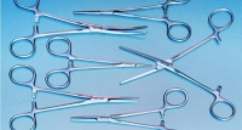 Липецким властям оказались не нужны акции ОАО «Липецкмедтехника», гараж и земельный участок