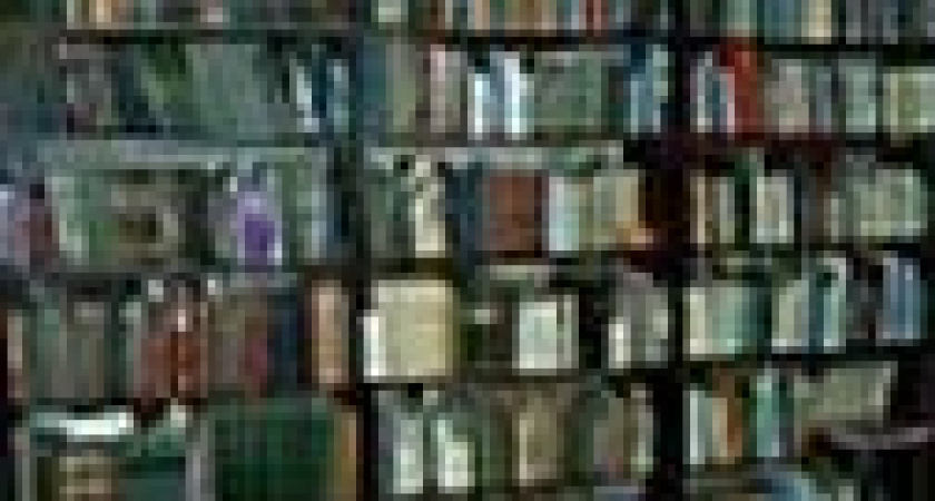 Из мусорной корзины на выставку.