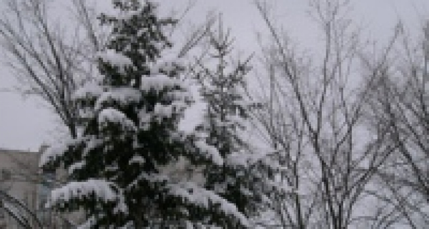 На выборах в Липецкий городской Совет победила «Единая Россия»