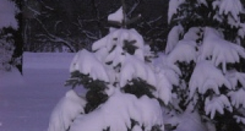 Всех пересчитают