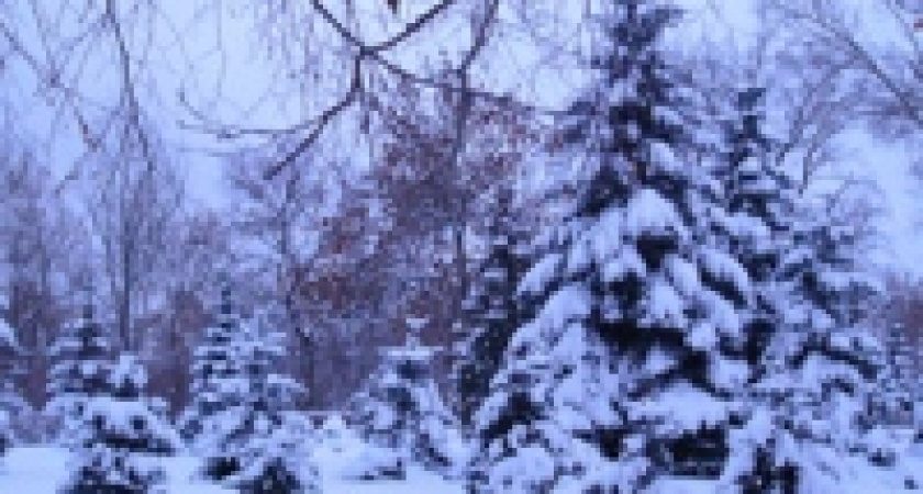 Закрыты еще две школы Липецка