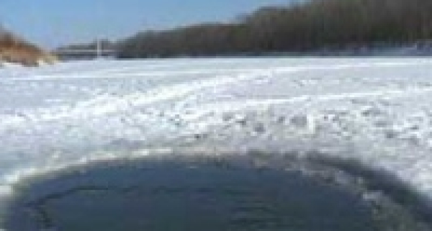 Рыбе в реке Воронеж кислородное голодание не грозит