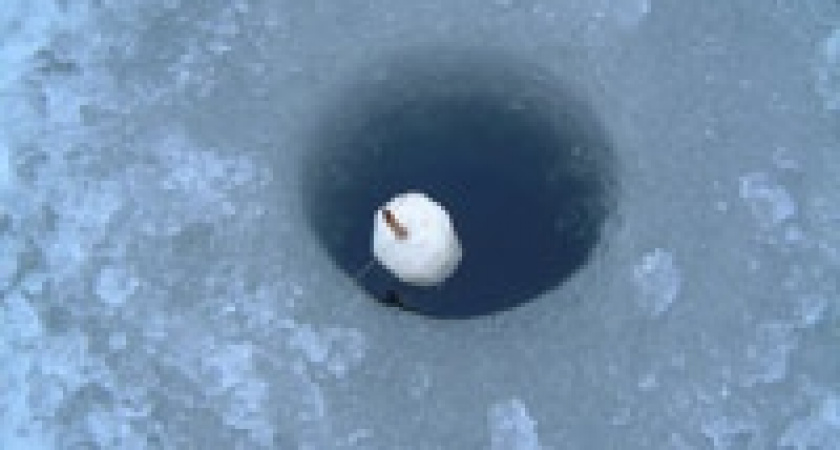 Рыбинспекторы «попугали» браконьеров в Добринском районе