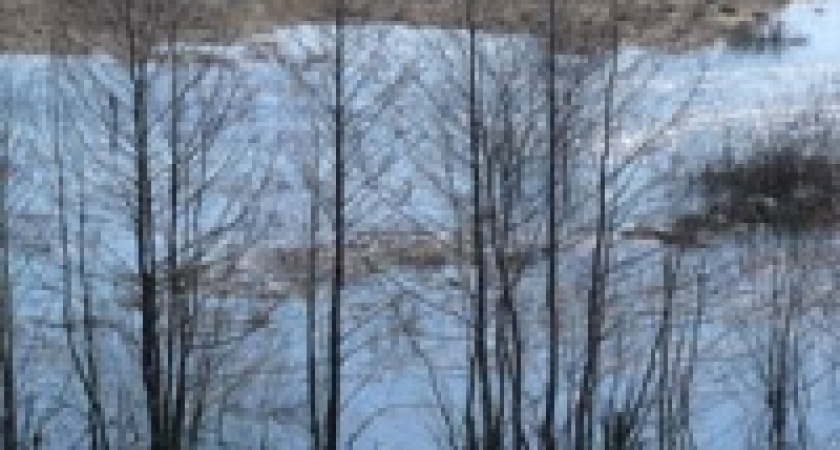 Рейд ОМОНа и рыбоохраны принес &laquo;улов&raquo;