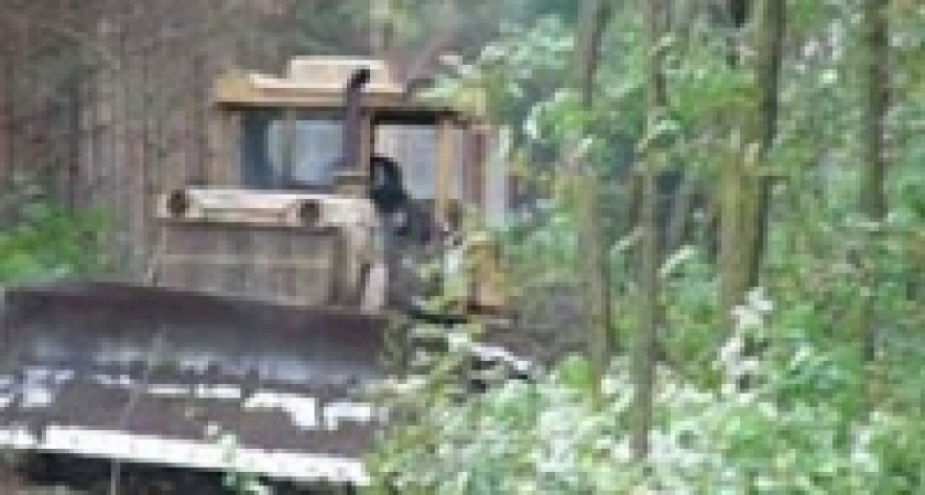 Начинается благоустройство Сокольского парка