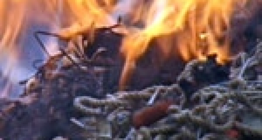 Милиционеры сожгли сети