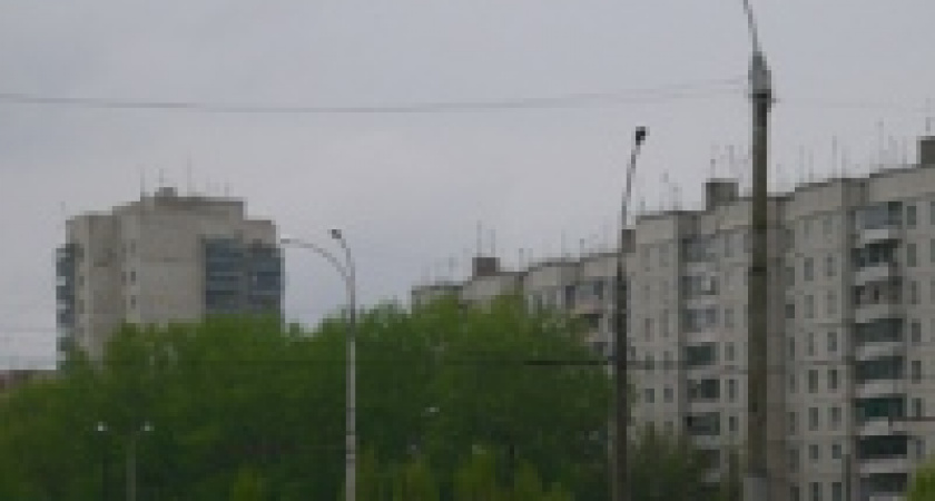 Чиновники взялись за лопаты