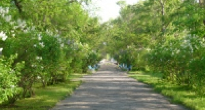 Строители обещают закончить реконструкцию Сокольского парка ко Дню города