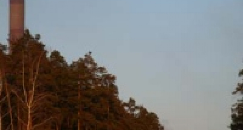 И началась в Новой жизни другая жизнь