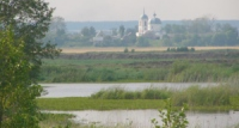 Степную гадюку исключили из «Красной книги»